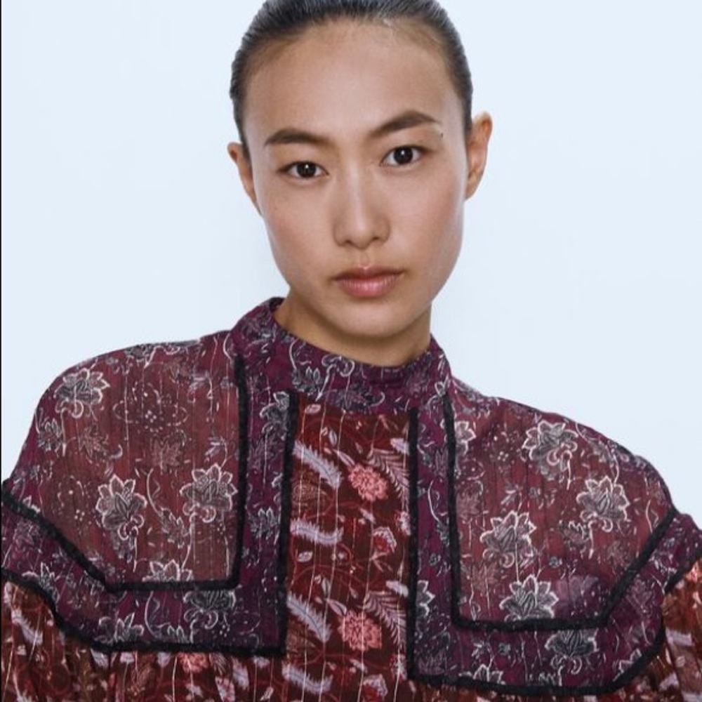 ZARA Contrasting Print Blouse NWT S Redwood